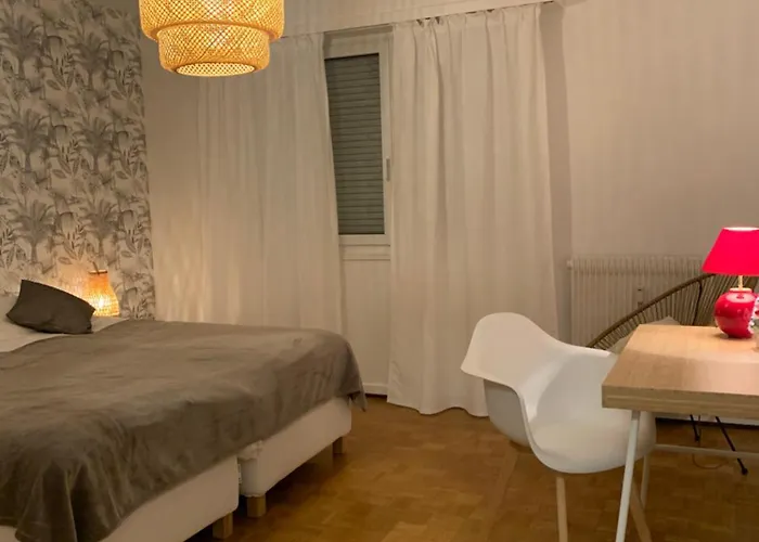 Appartement Centre-Ville Colmar